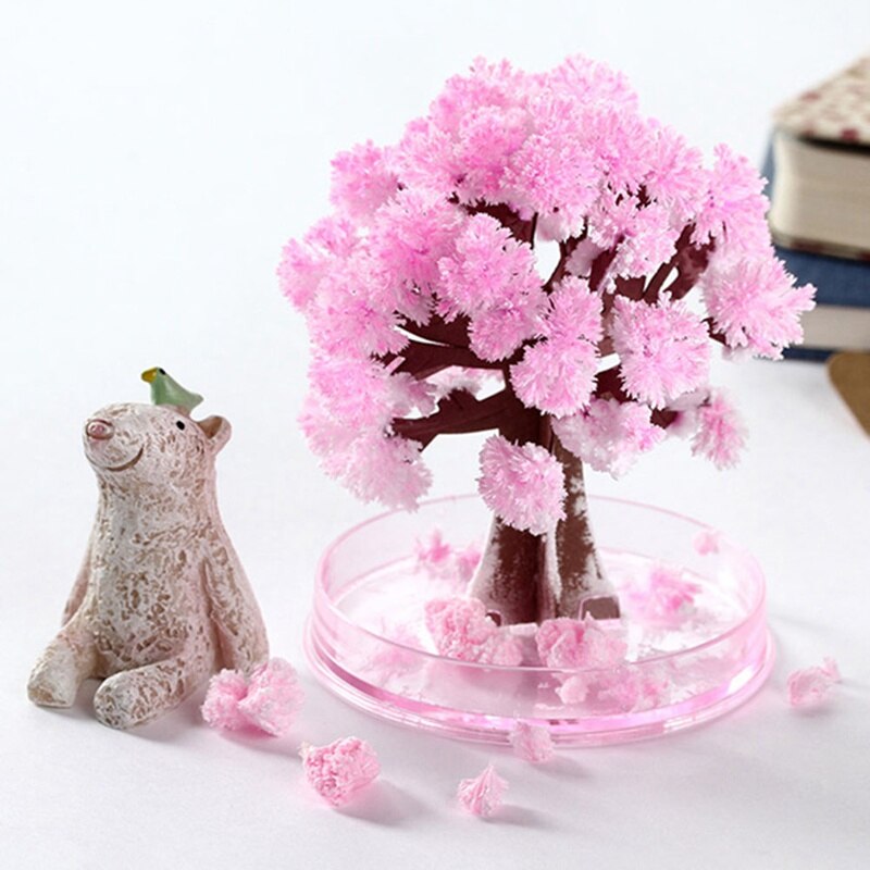 Magic Cherry Blossom Tree