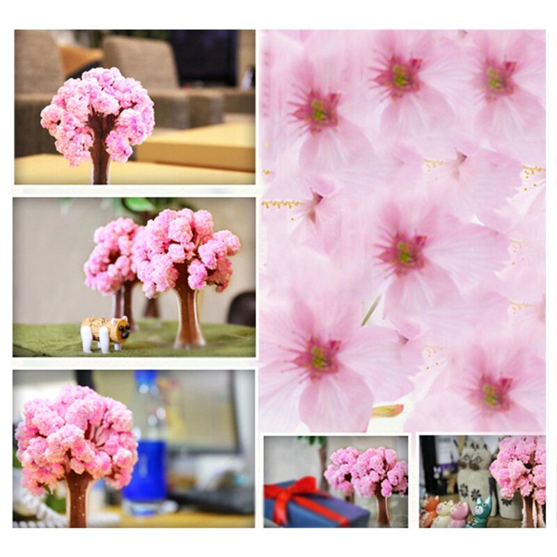 Magic Cherry Blossom Tree