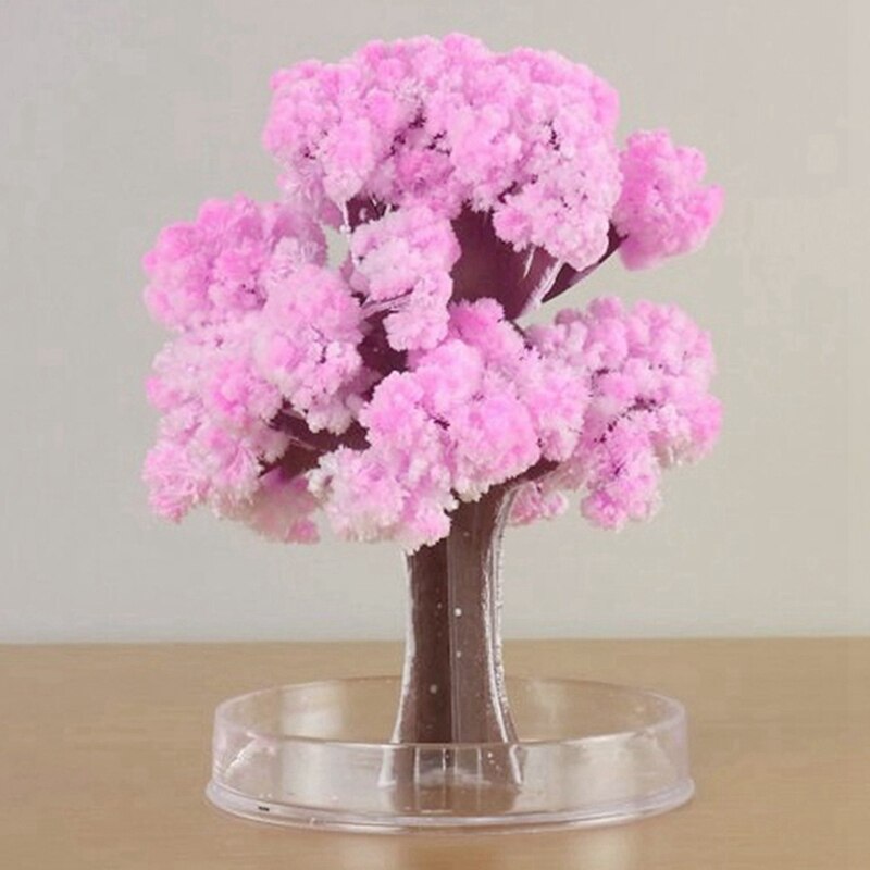 Magic Cherry Blossom Tree