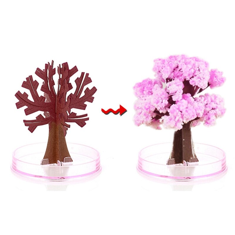 Magic Cherry Blossom Tree