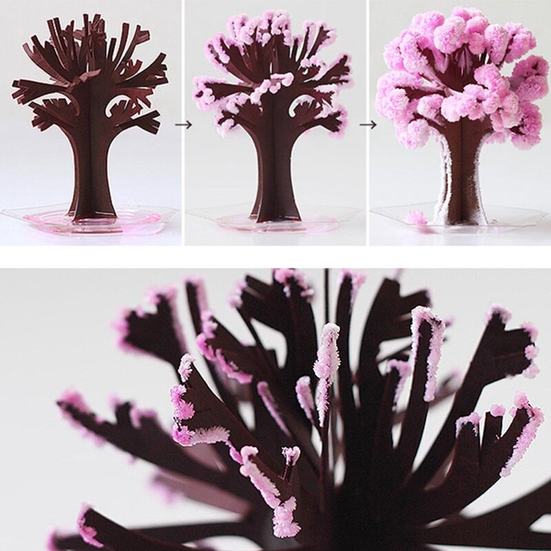 Magic Cherry Blossom Tree