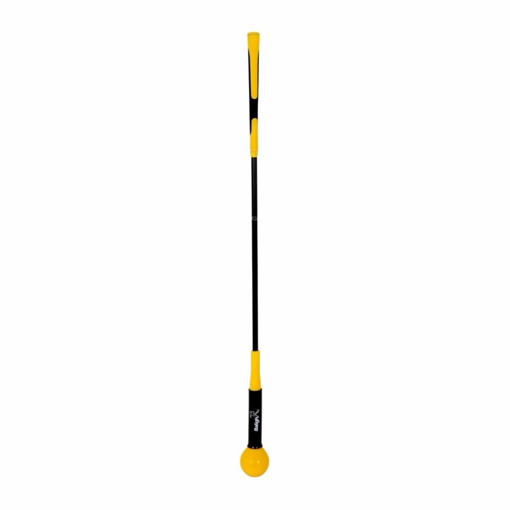 Pro Swing Trainer