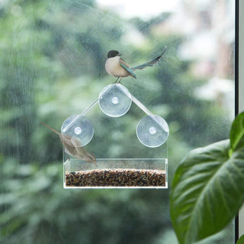 Transparent Window Bird Feeder