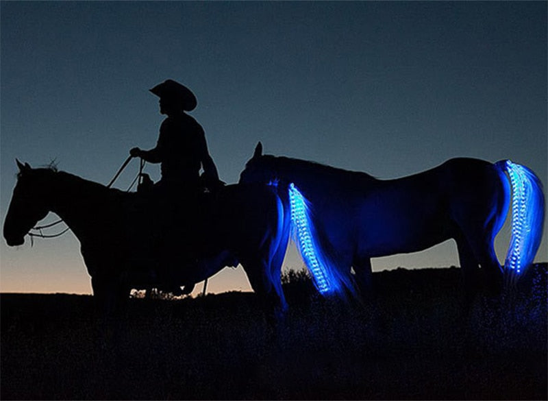 Equestrian Tail Led Lights