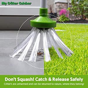 My Critter Catcher