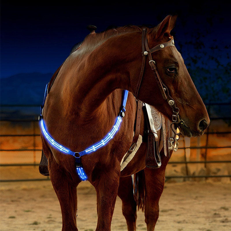 Equestrian Safety set