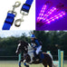 Equestrian Safety set