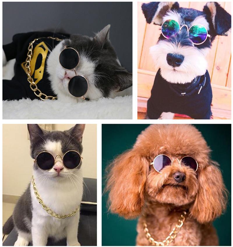 Kitty Cool Sunglasses