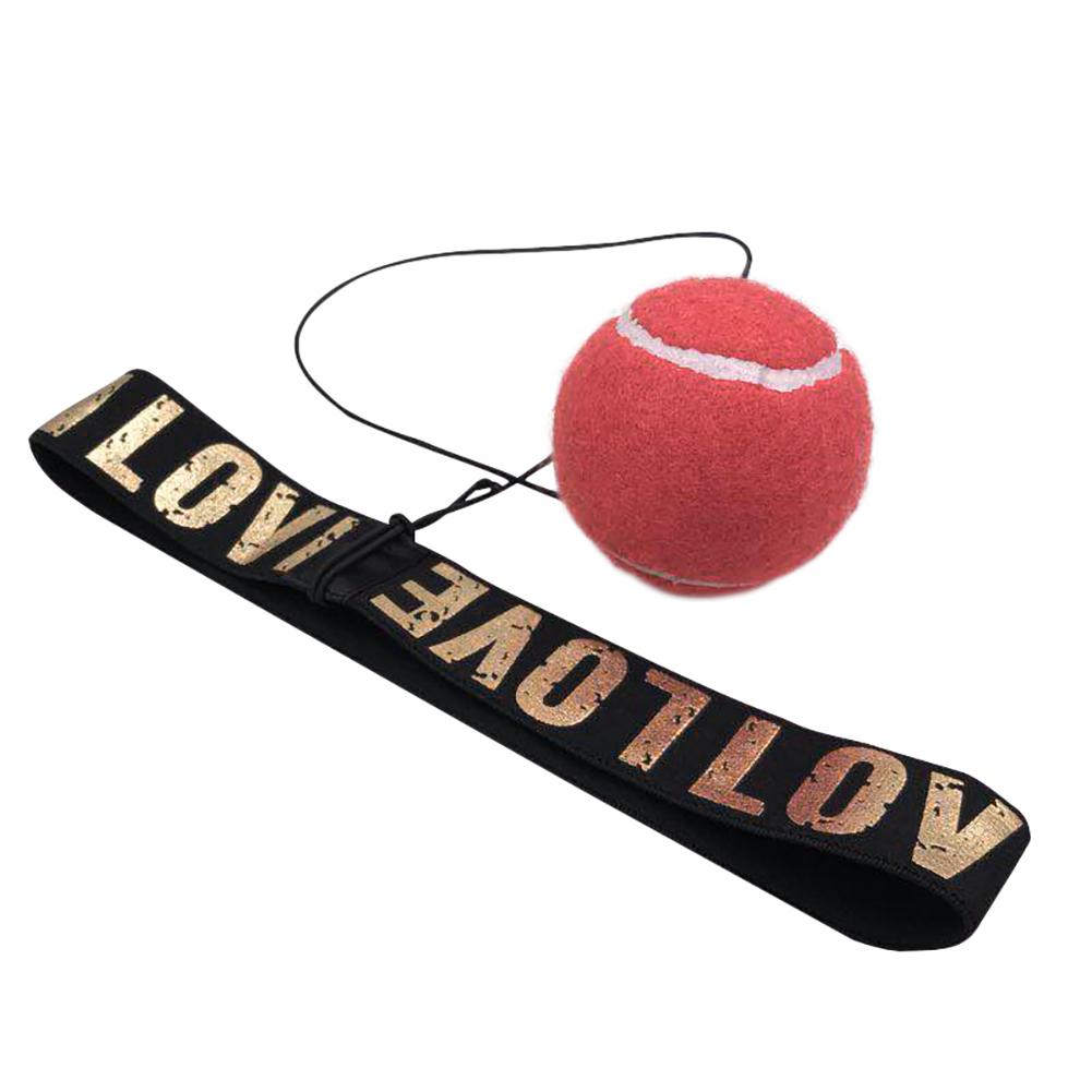 Pro Reflex Boxing Trainer
