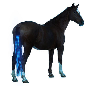 Equestrian Tail Led Lights