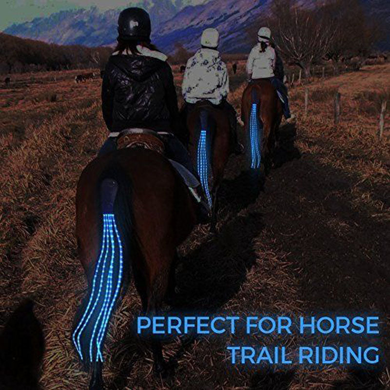 Equestrian Tail Led Lights