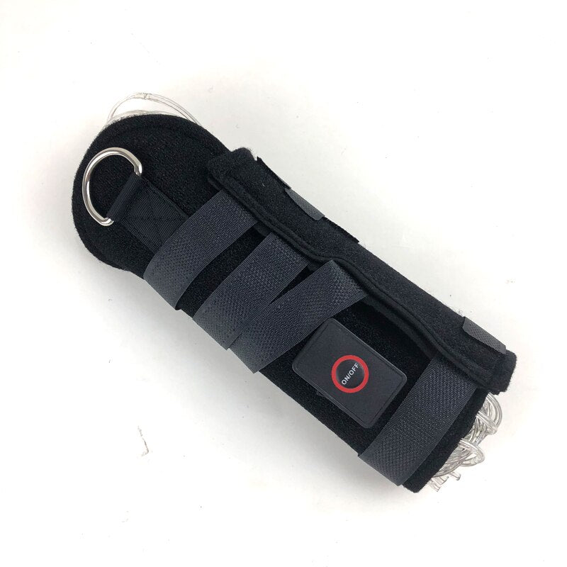 Equestrian Tail Led Lights