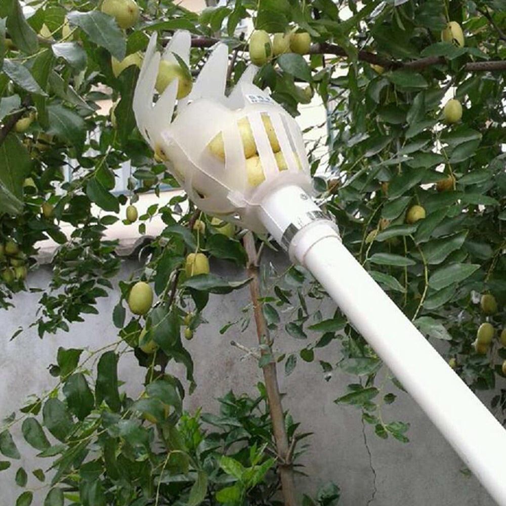 Telescoping High Hanging Fruit Picker