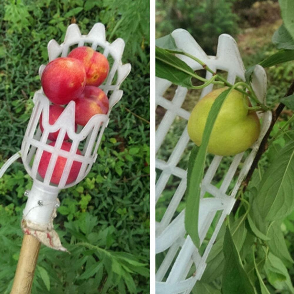Telescoping High Hanging Fruit Picker