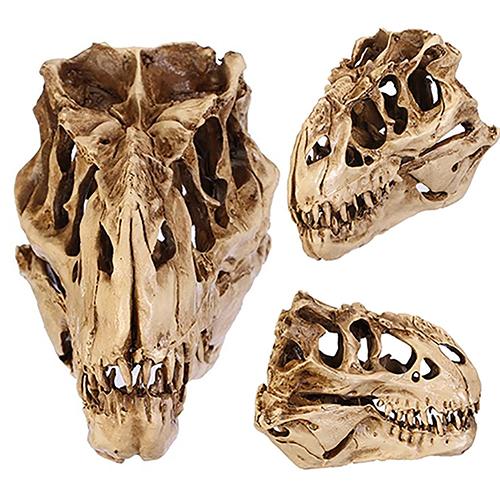 Dinosaure T-Rex Skull