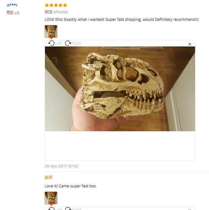 Dinosaure T-Rex Skull