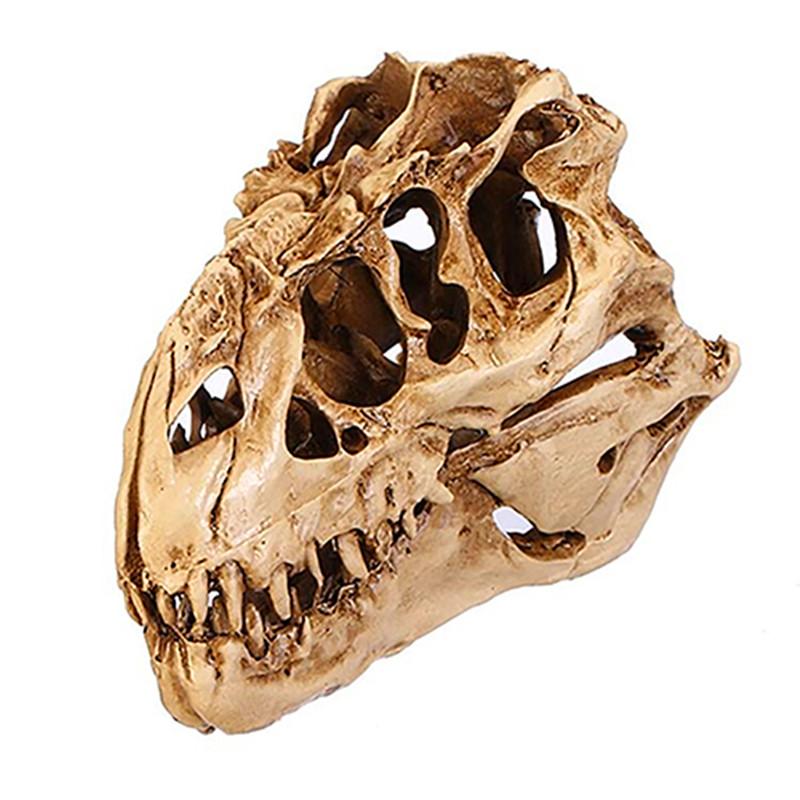 Dinosaure T-Rex Skull