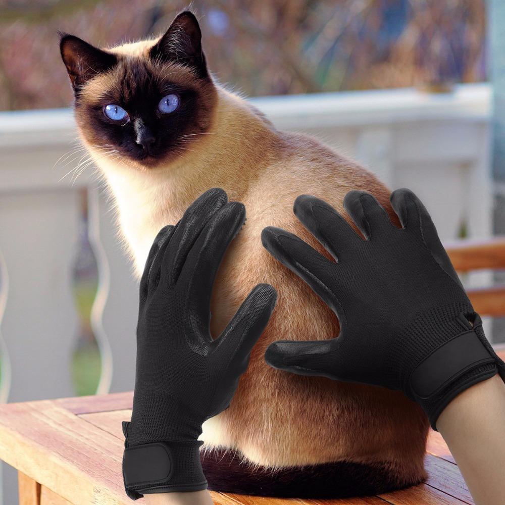 Grooming Glove