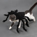 Spider costume for dogs, cats