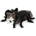 Spider costume for dogs, cats