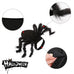 Spider costume for dogs, cats