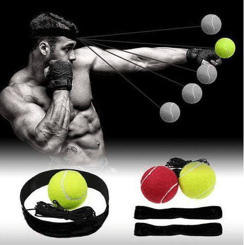 Pro Reflex Boxing Trainer