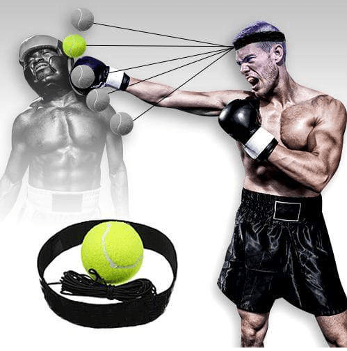 Pro Reflex Boxing Trainer