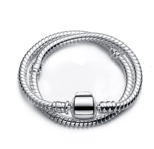 Bracelet Charm