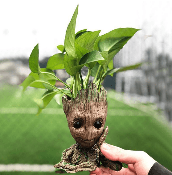 Groot Man Planter Pot
