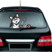 Dog Wiper