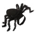 Spider costume for dogs, cats