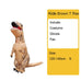 T-REX Costumes