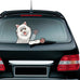 Dog Wiper