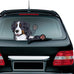 Dog Wiper