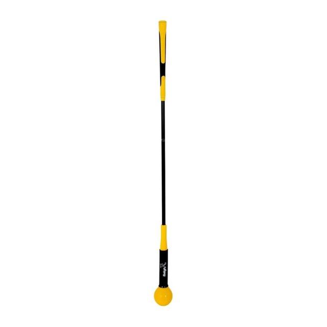 Pro Swing Trainer