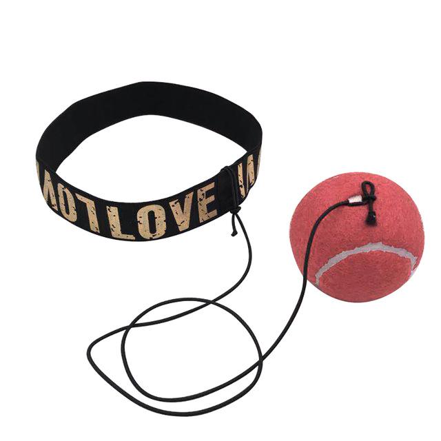 Pro Reflex Boxing Trainer